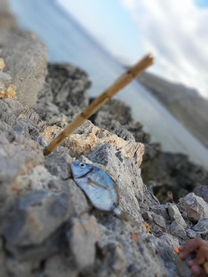 Finestra Azzurra Leilighet San Vito Lo Capo Eksteriør bilde