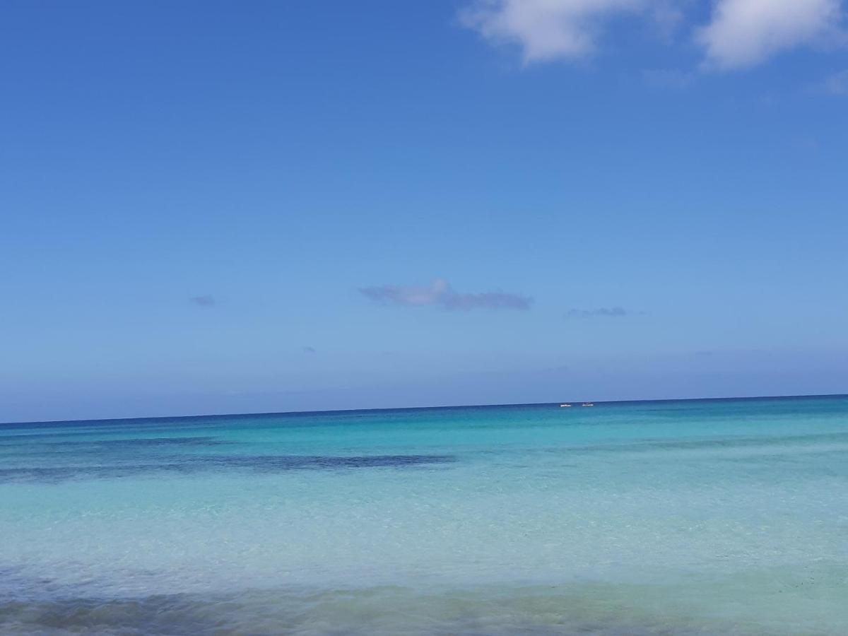 Finestra Azzurra Leilighet San Vito Lo Capo Eksteriør bilde